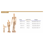 Male Mannikin