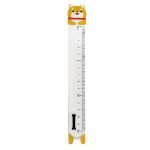 Ruler