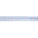 Ruler