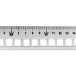 Ruler